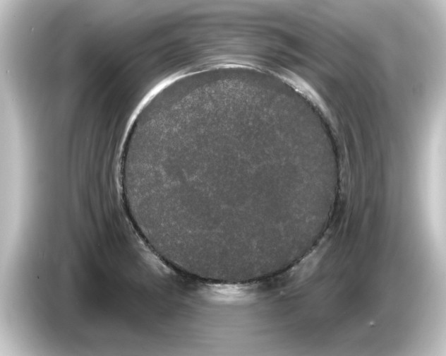 X0000084581182200703161735