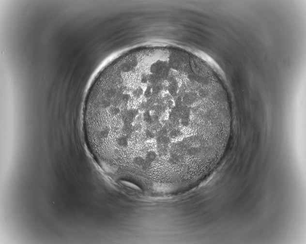 X0000084581183200703161735