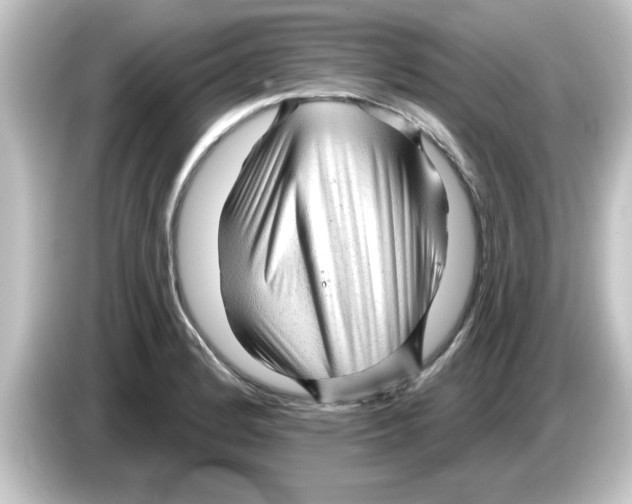X0000084581184200703161735