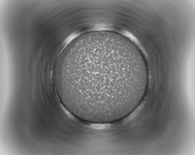 X0000084581185200703161735