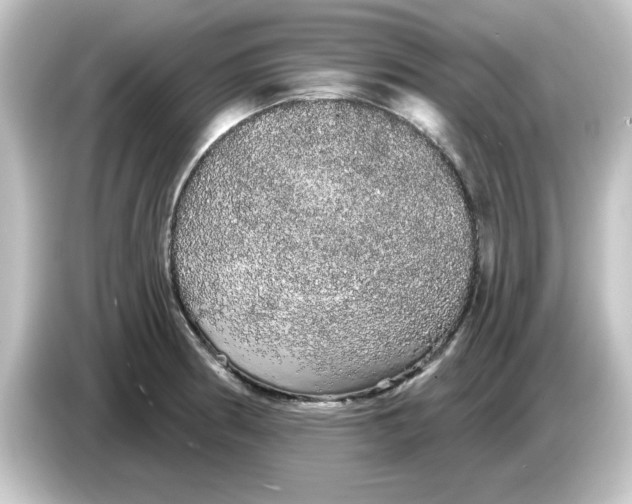 X0000084581186200703161735