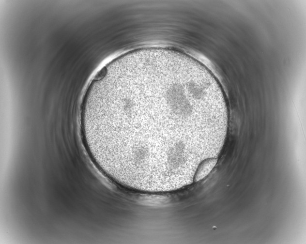 X0000084581187200703161735