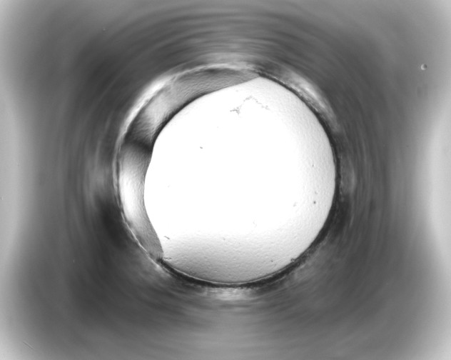X0000084581188200703161735