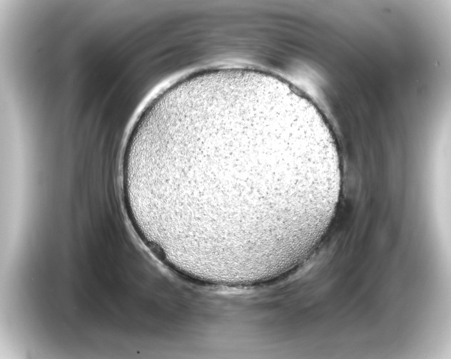 X0000084581191200703161735