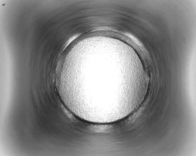 X0000084581193200703161735