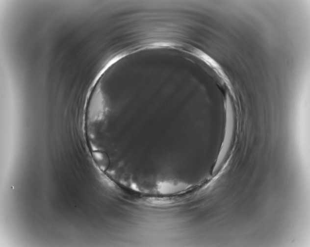 X0000084581194200703161735