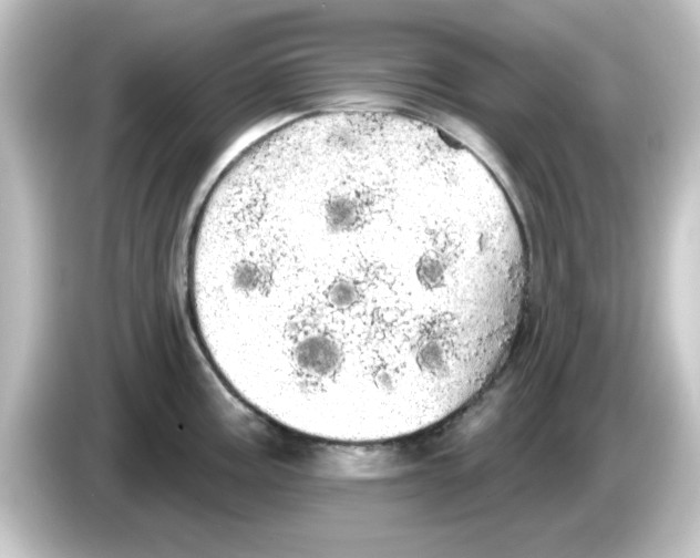 X0000084581195200703161735