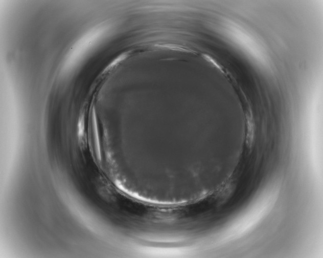 X0000084581198200703161735