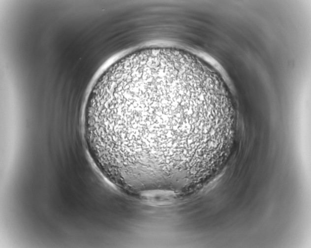 X0000084581199200703161735