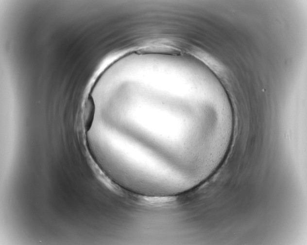 X0000084581200200703161735