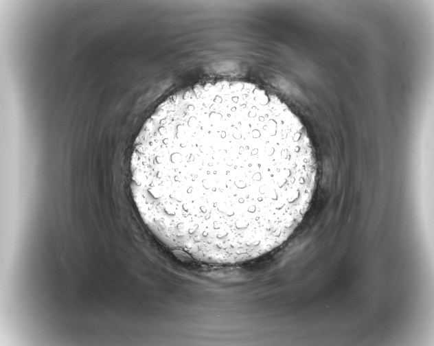 X0000084581201200703161734