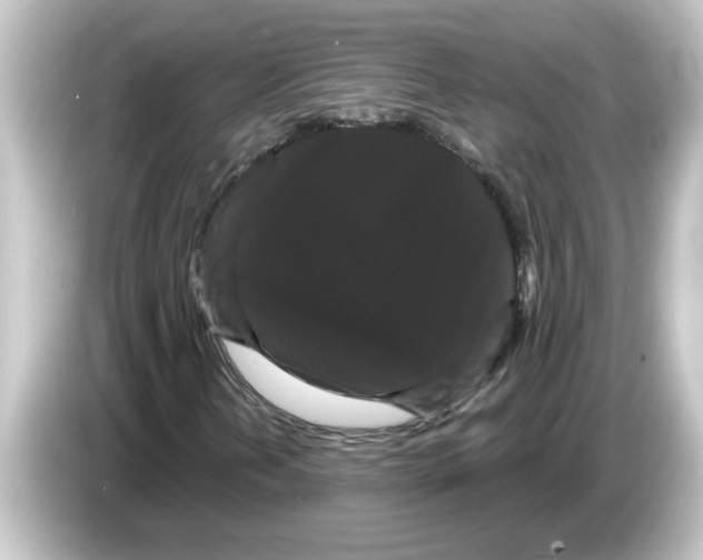 X0000084581202200703161734