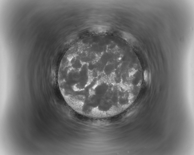 X0000084581203200703161734