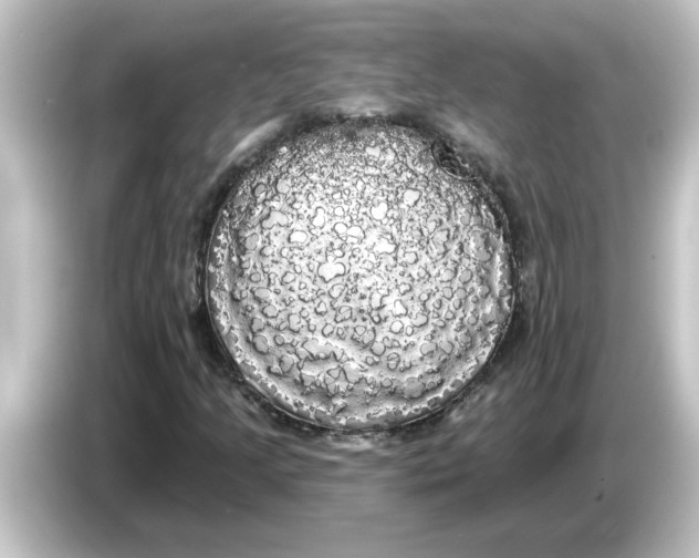 X0000084581205200703161734