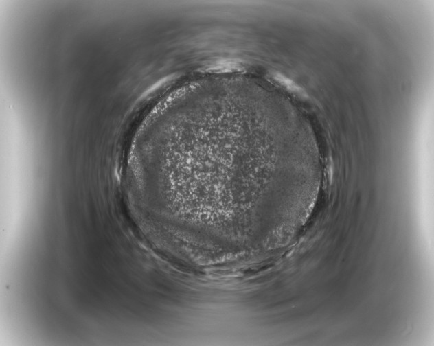 X0000084581206200703161734