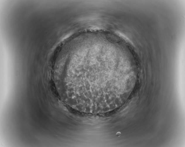 X0000084581207200703161734
