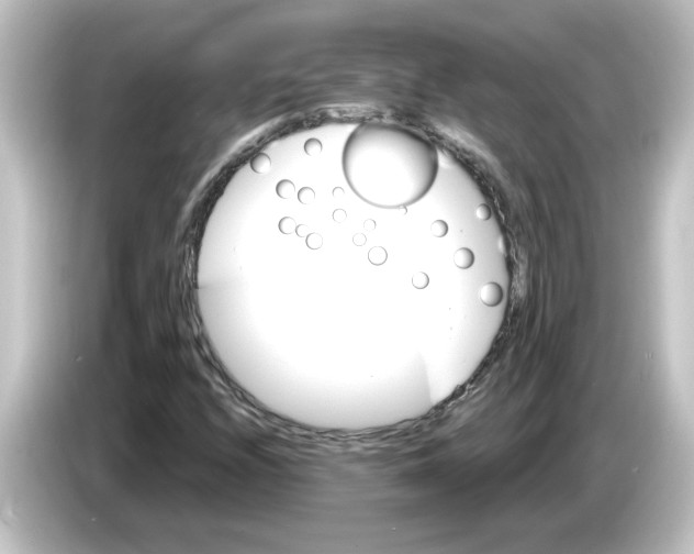 X0000084581208200703161734