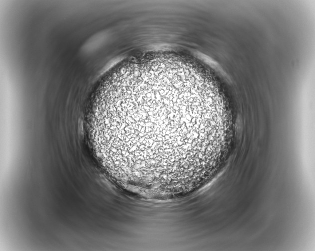 X0000084581209200703161734