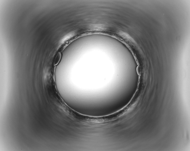 X0000084581210200703161734