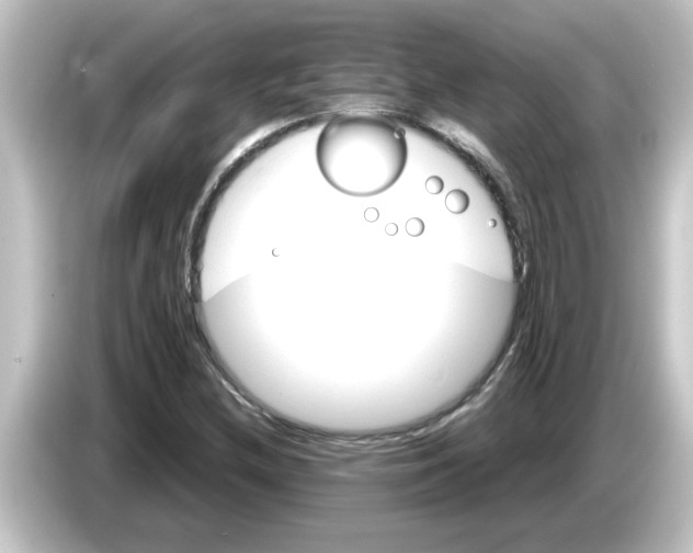 X0000084581212200703161734