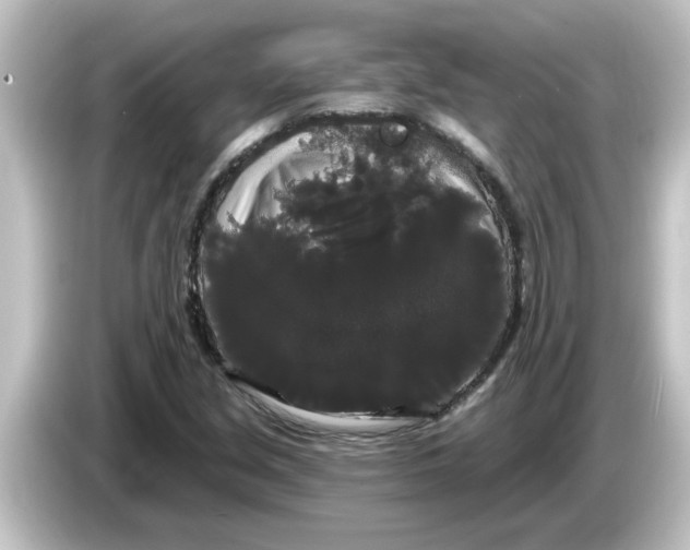 X0000084581213200703161734