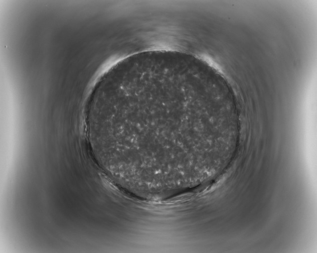 X0000084581215200703161734