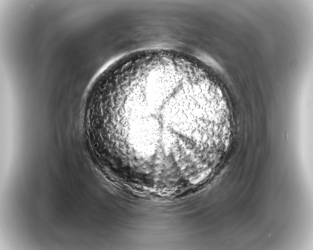 X0000084581216200703161734