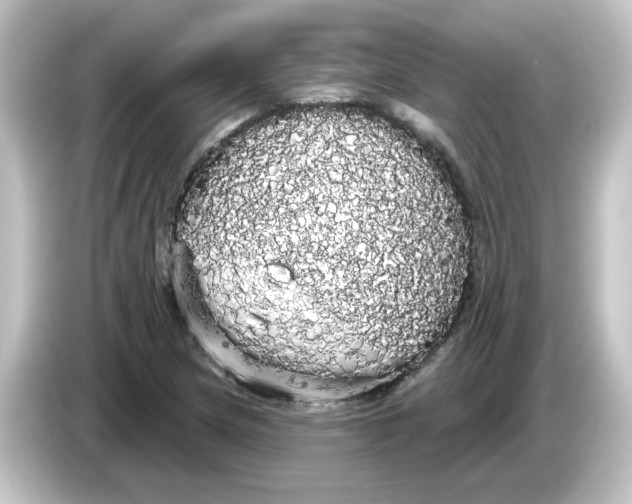 X0000084581217200703161734