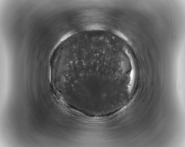X0000084581219200703161735