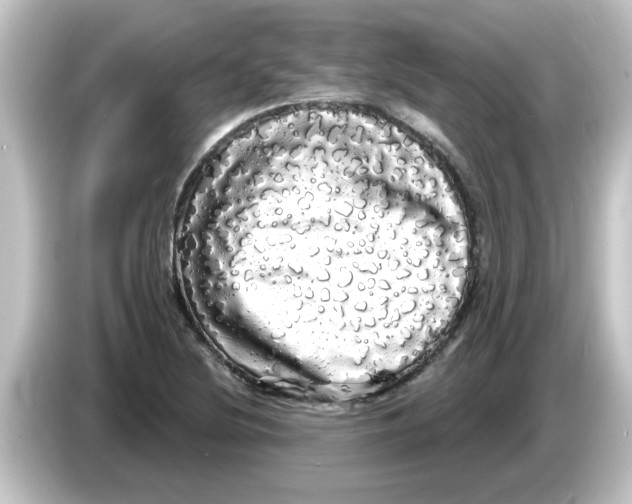 X0000084581220200703161735