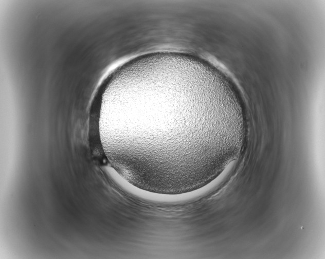 X0000084581222200703161735