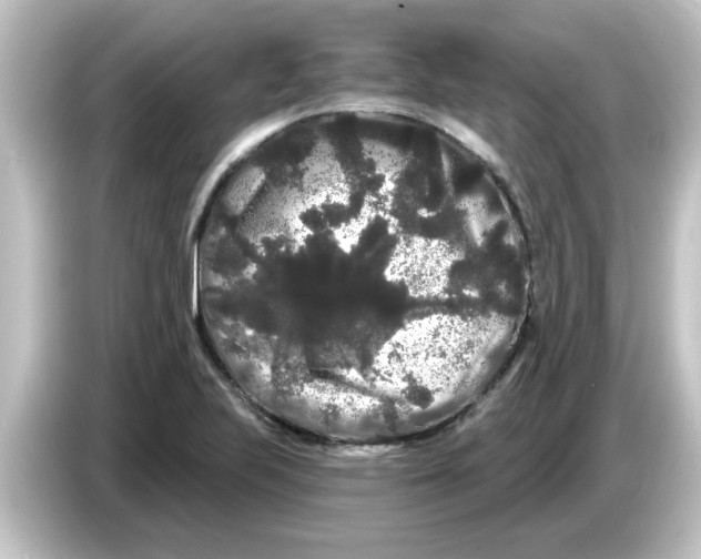 X0000084581223200703161735