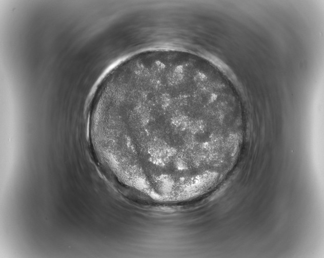 X0000084581224200703161735