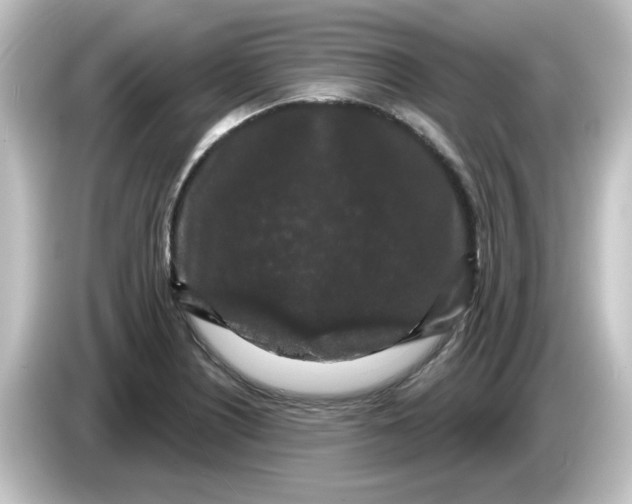 X0000084581226200703161735