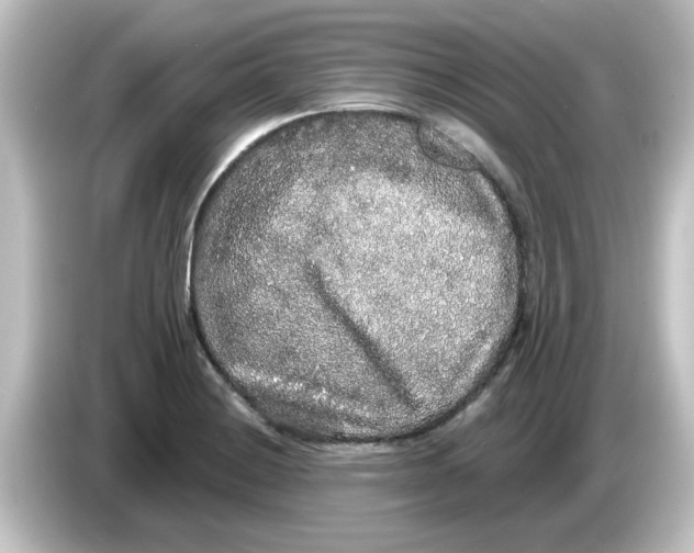 X0000084581228200703161735