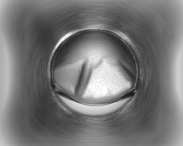 X0000084581230200703161735