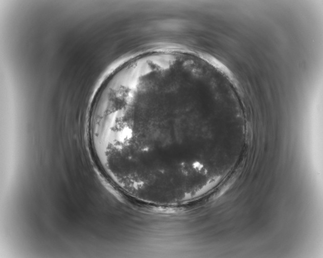 X0000084581231200703161735