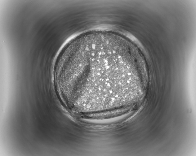 X0000084581232200703161735