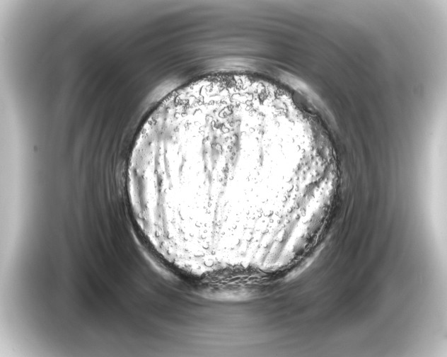 X0000084581233200703161735