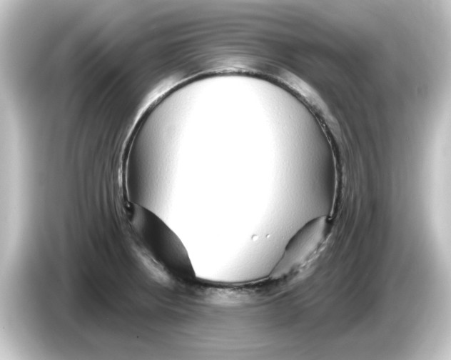 X0000084581234200703161735