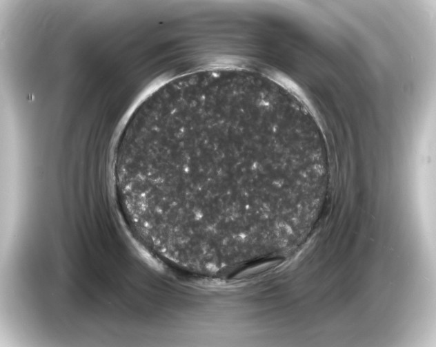 X0000084581235200703161735