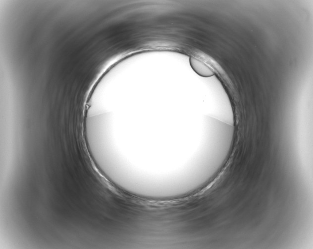 X0000084581236200703161735