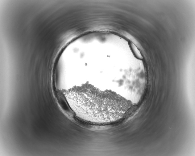 X0000084581237200703161735