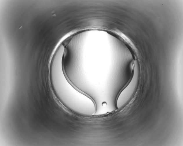 X0000084581238200703161735