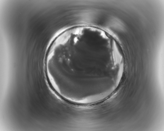 X0000084581239200703161735