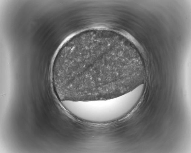 X0000084581240200703161735