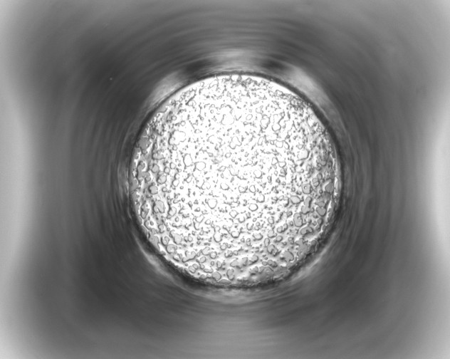 X0000084581241200703161735