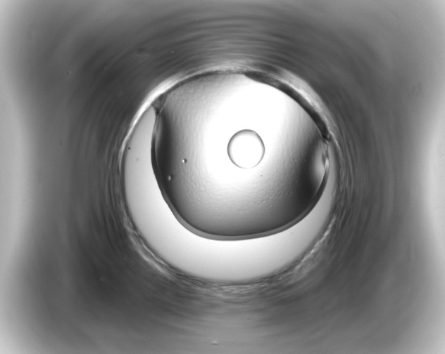 X0000084581242200703161735