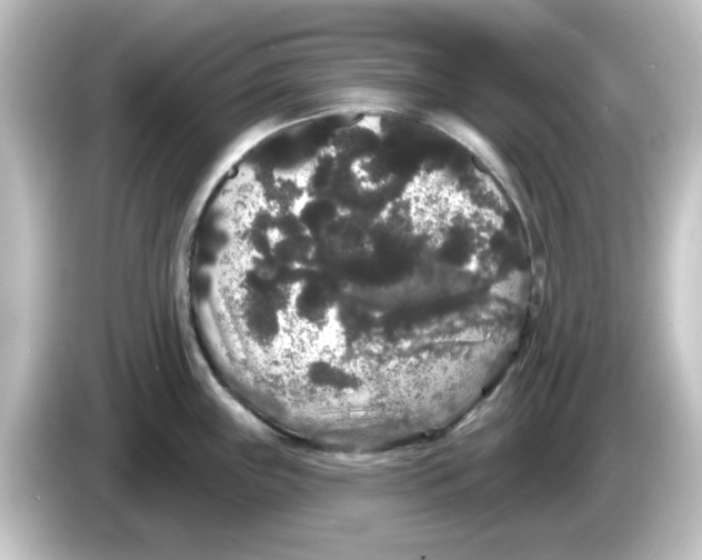 X0000084581243200703161735