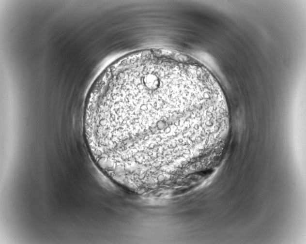 X0000084581244200703161735
